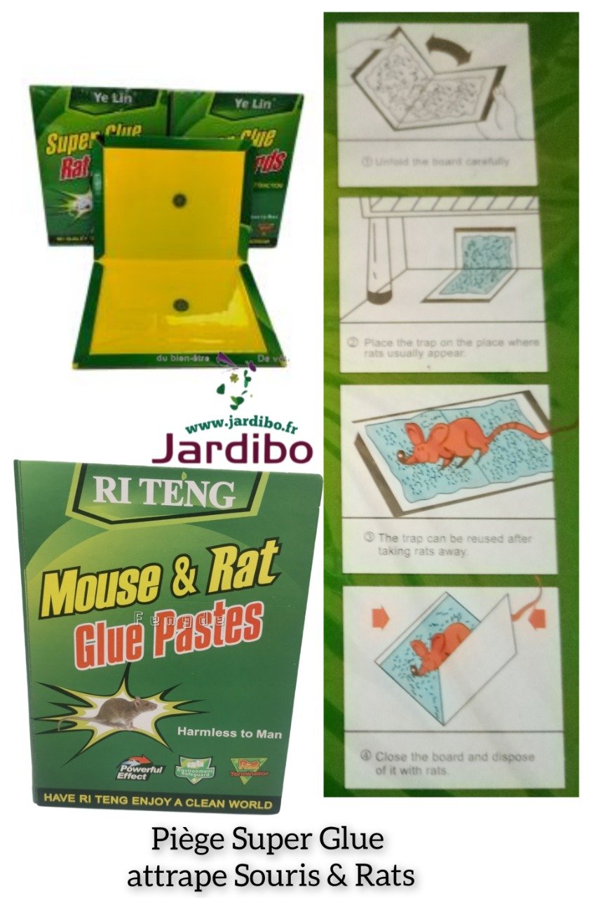 Piège Attrape Souris et Rat Super Glue. - Jardibo