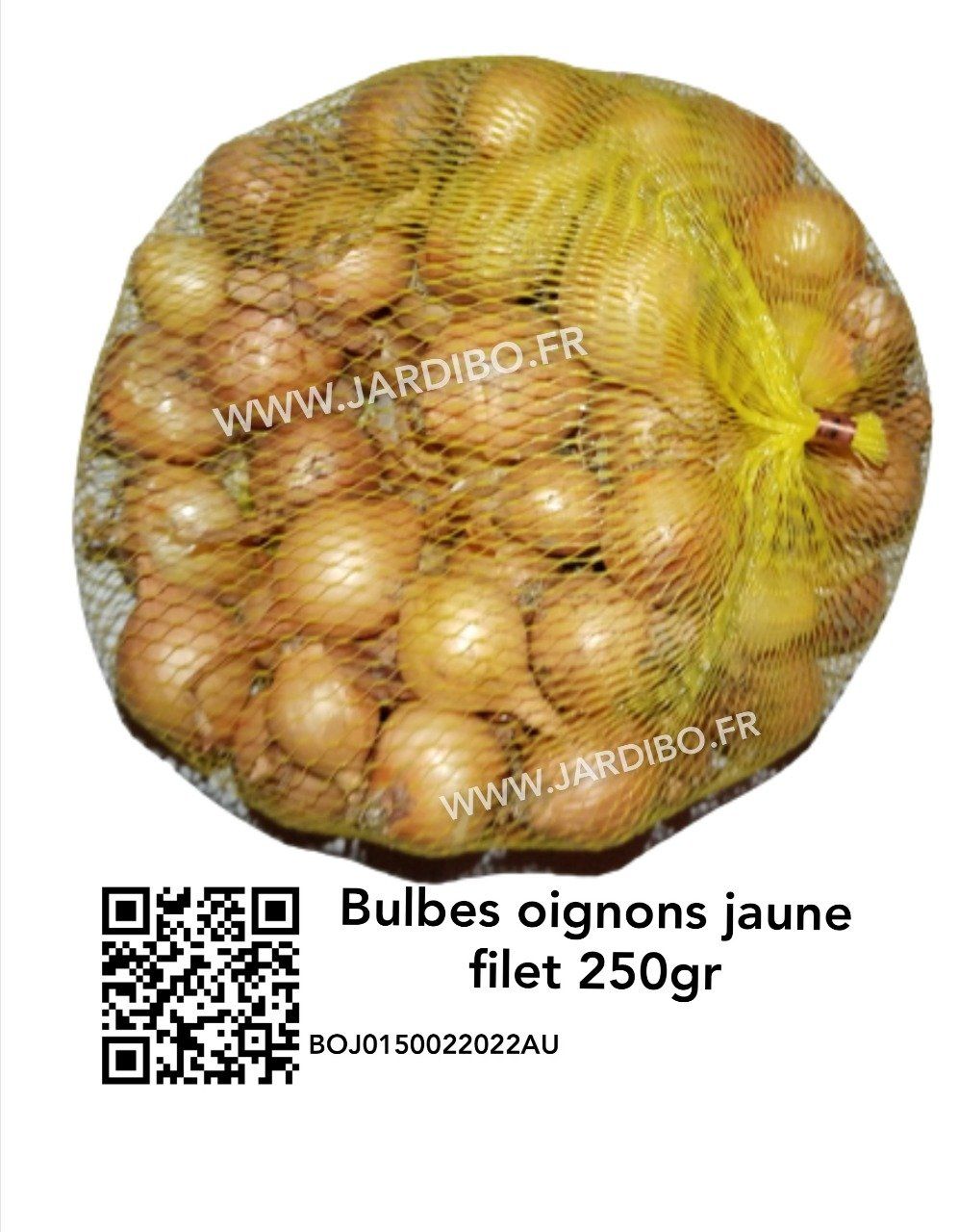 Bulbes d'oignon jaune paille des vertus 250gr