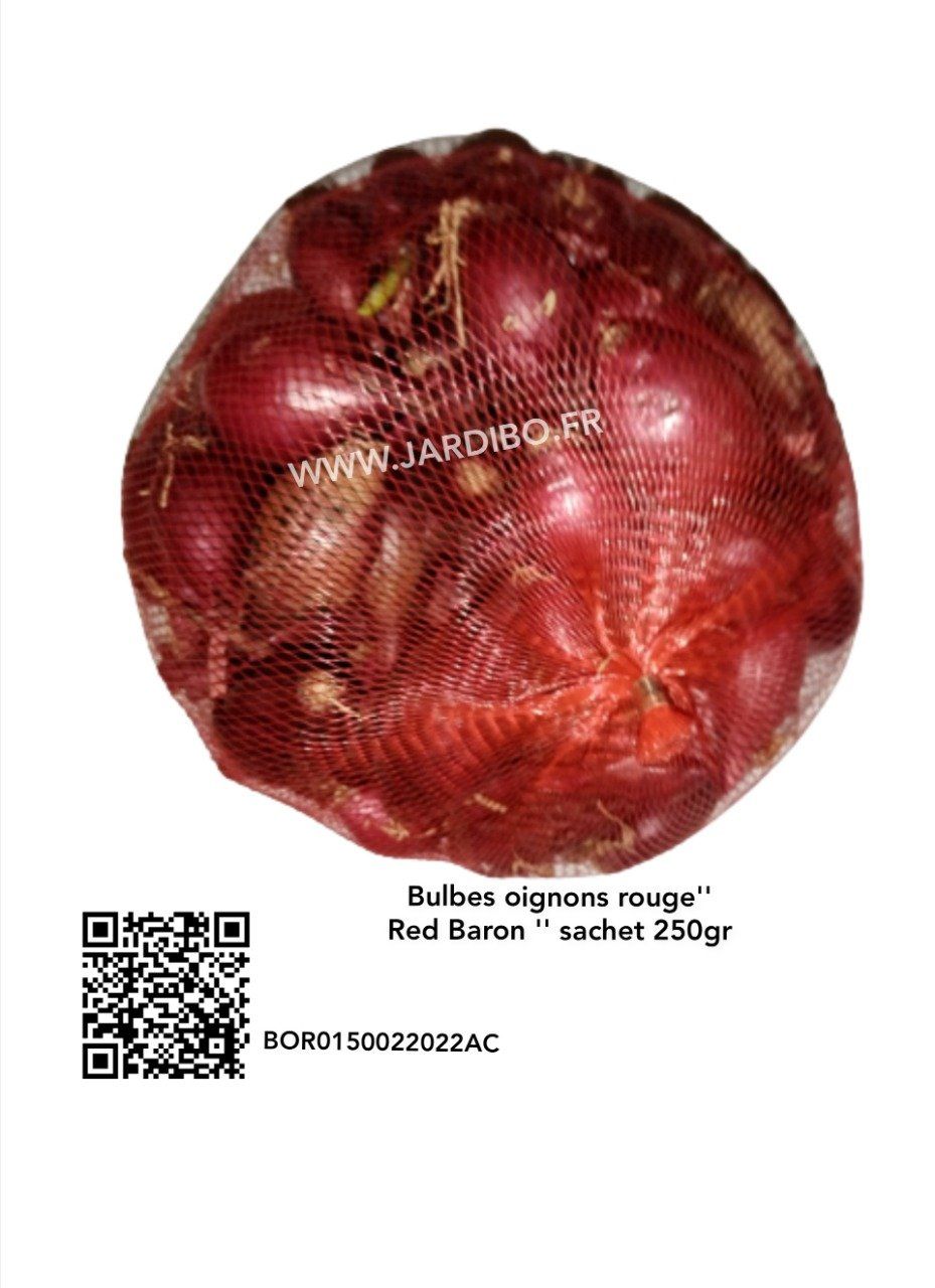 Bulbes d'oignons rouge 250gr