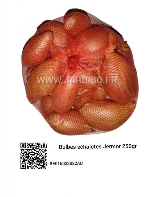 Bulbes d'echallote Jermor sachet 250gr