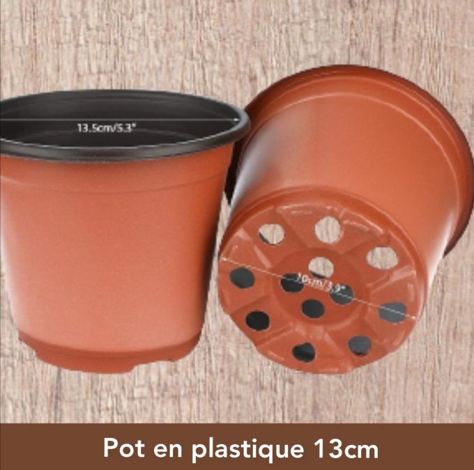 Lot de Pot plastique plantation 13cm marron