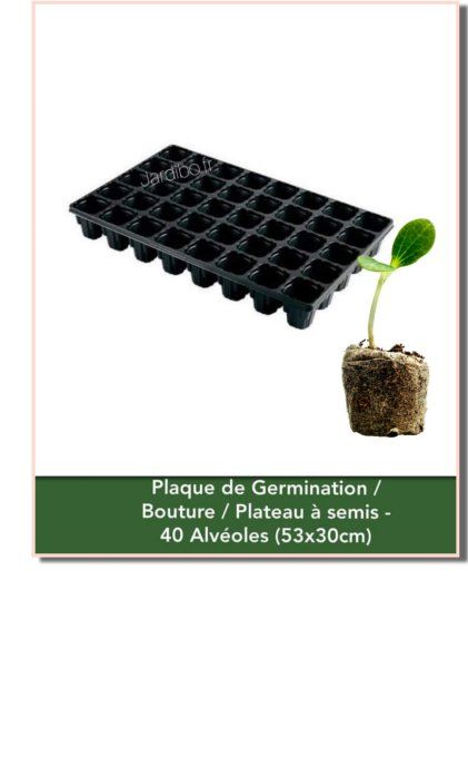 Plaque de 40 trous pour semis, germination 