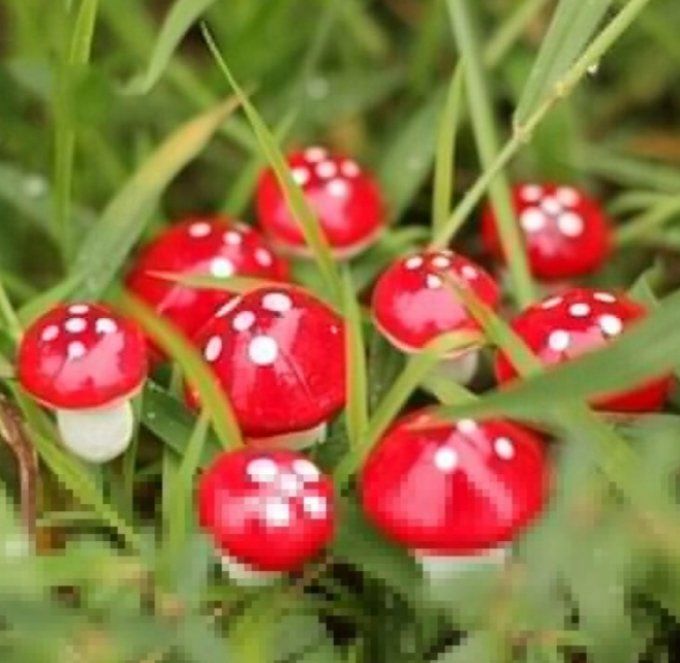 Mini champignon décoratif Lot de 5